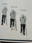 Steady X Step Training Device